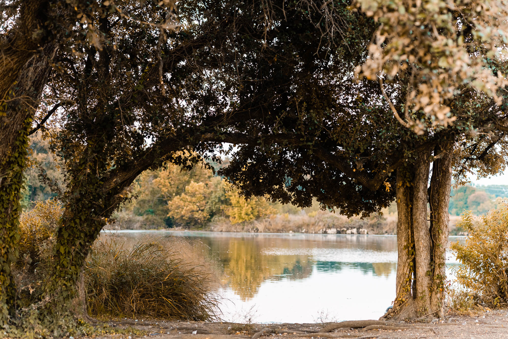 brushy creek lake landscape photo