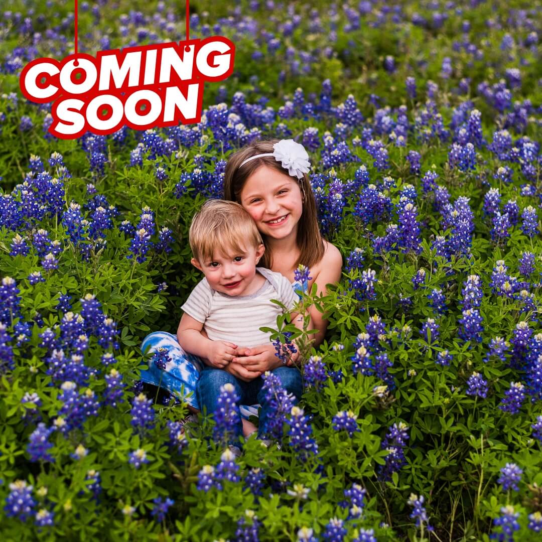 two kids sitting in bluebonnet patch for mini session in austin texas