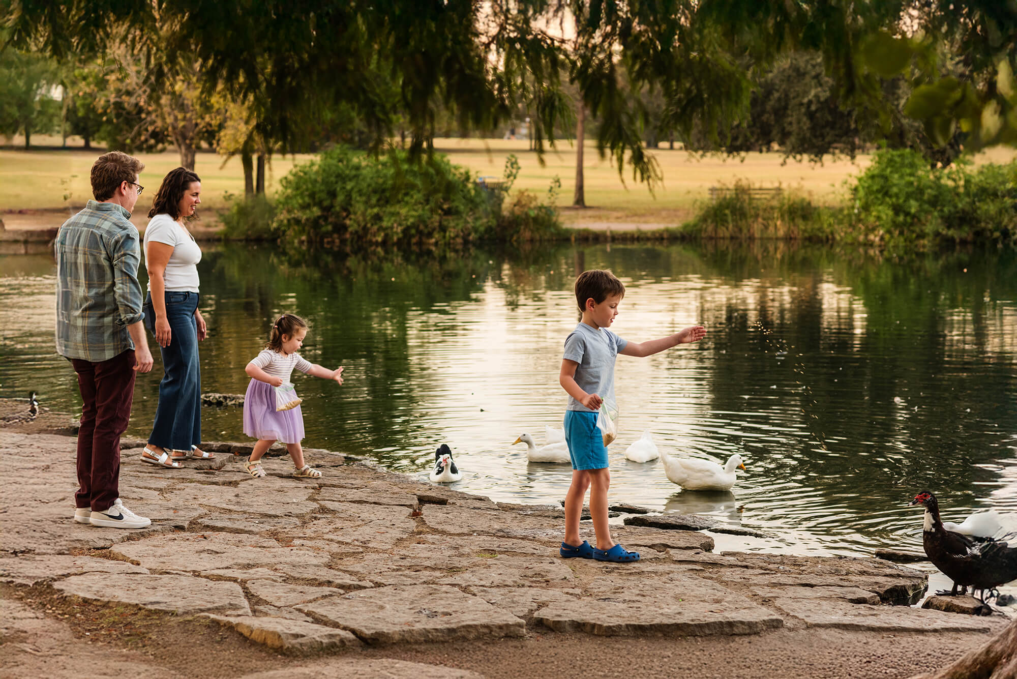 family feeding ducks and pigeons at mueller lake park during family photoshoot