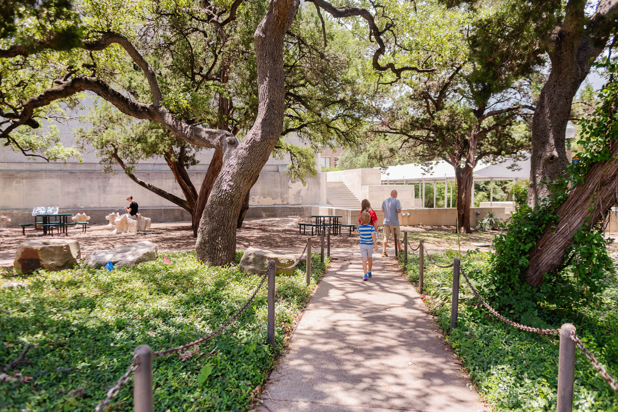 pathway leading towards the texas science and history museum on ut austin campus