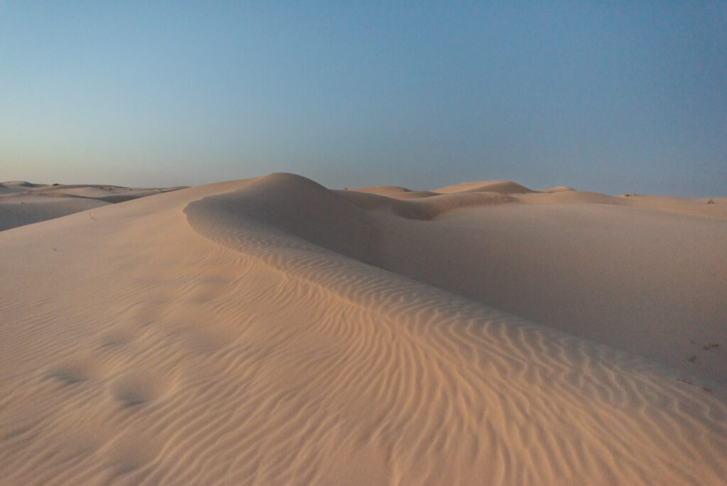 monahans sand dunes state park landscape photography at sunset