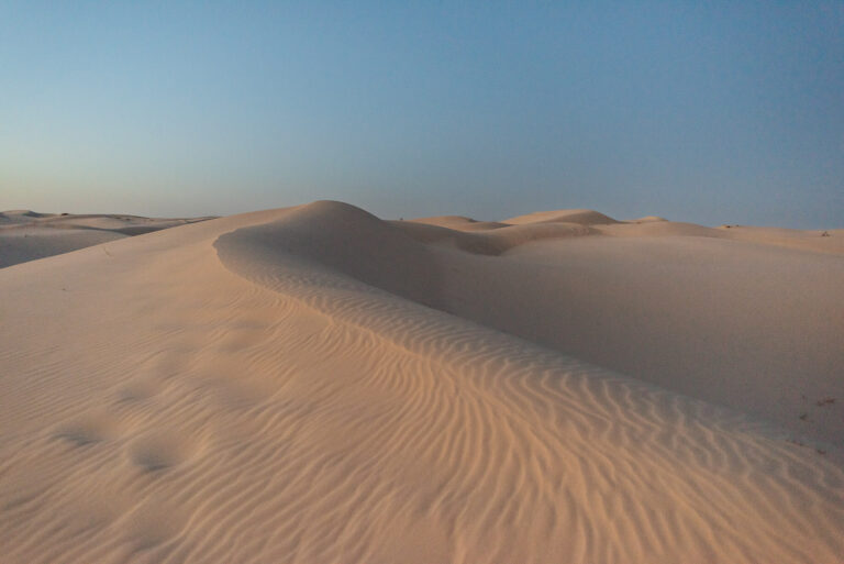 monahans sand dunes state park landscape photography at sunset