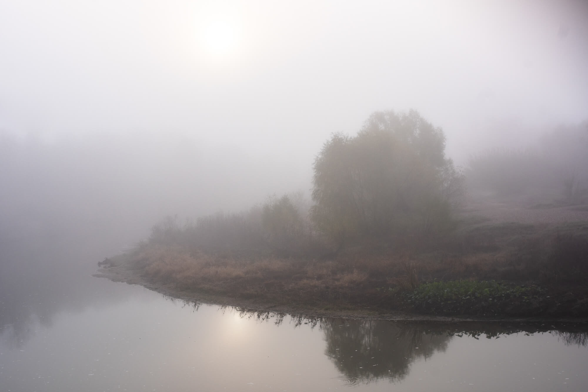Colorado River Texas Landscape photo during foggy morning