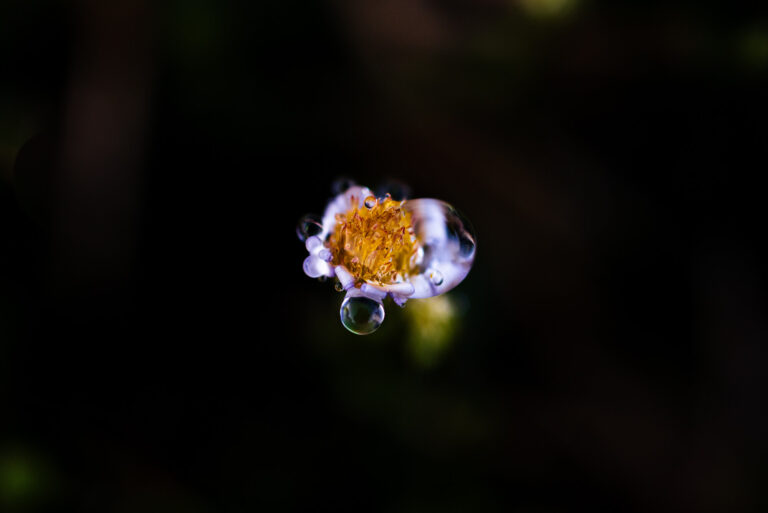 What if happiness isn’t supposed to feel happy?