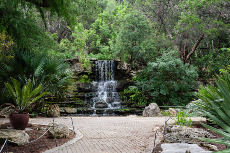 Zilker Botanical Garden With Kids