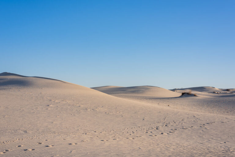 Monahans Sandhills State Park: Our Spring Break Camping Trip