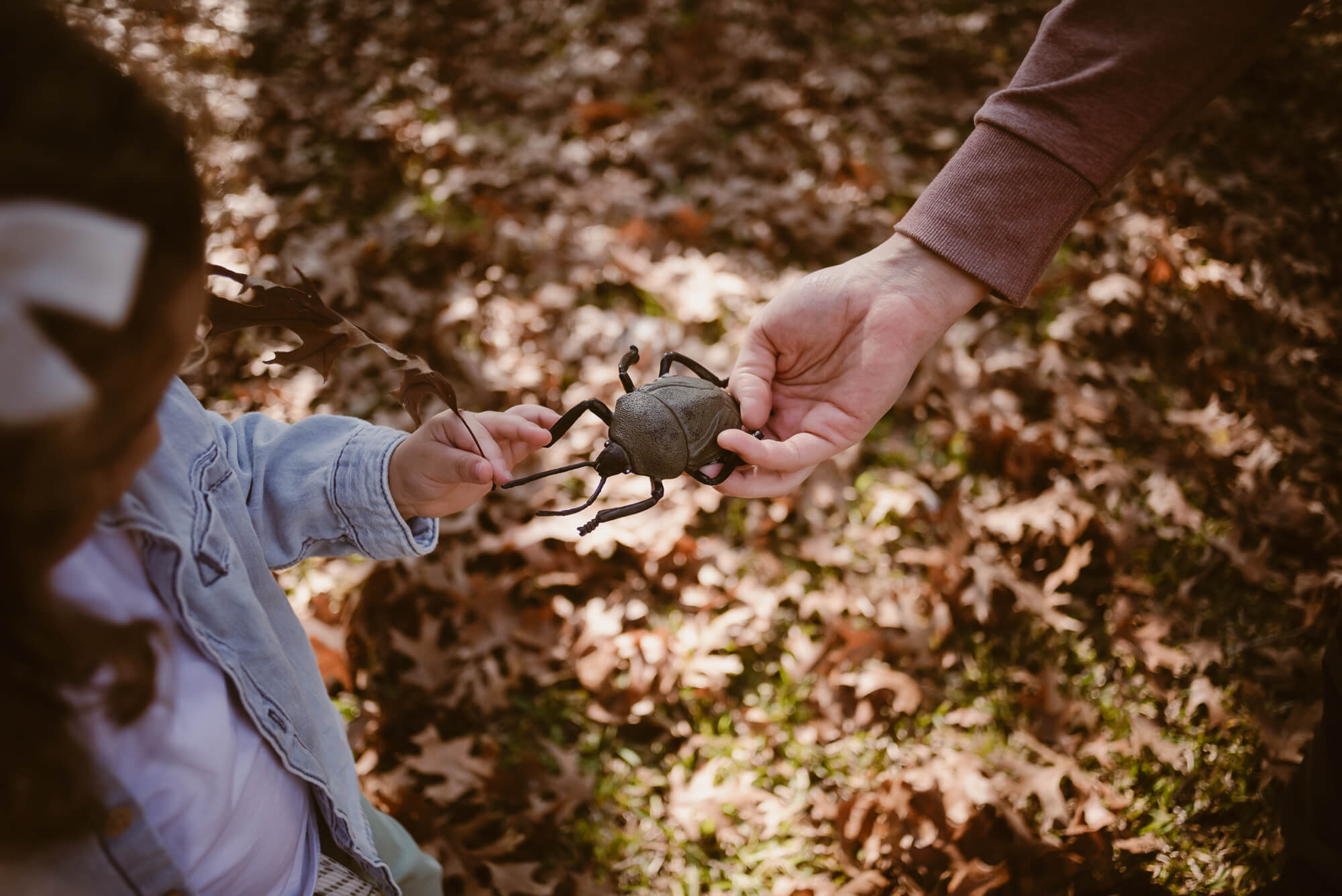 close up of a toddler's favorite toy, a plastic beetle, during their at home family photoshoot in austin texas in their front yard
